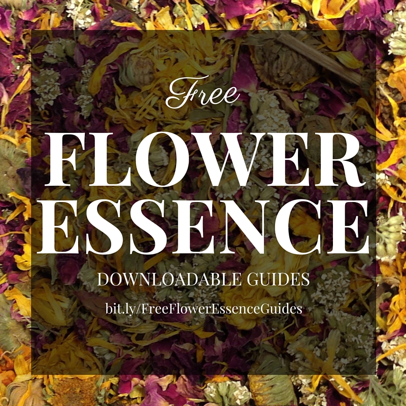 Free Flower Essence Guides