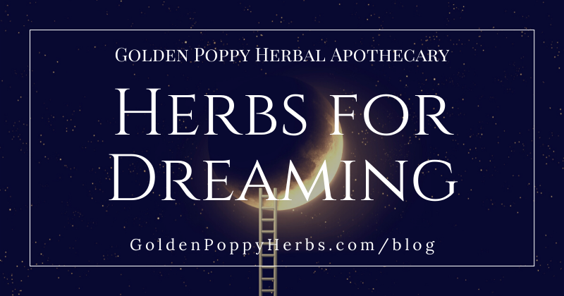 Title Photo for blog reads Herbs for Dreaming with a picture of a ladder rising up to a moon