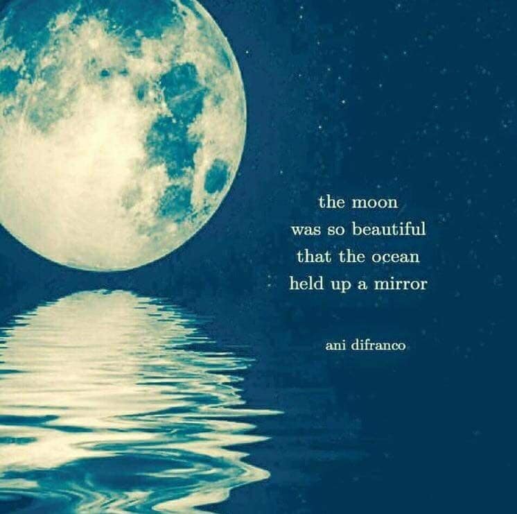 "the moon was so beautiful that the ocean held up a mirror" Quote by Ani Difranco is ontop of an image of the blue on a blue background