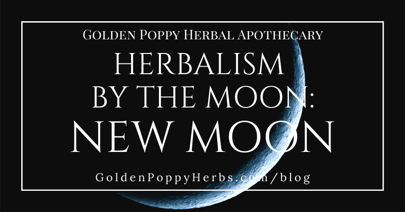 Golden Poppy Herbal Apothecary Herbalism By The New Moon www.Goldenpoppyherbs.com/blog header photo is white writing on a mostly black sky with a sliver of a moon
